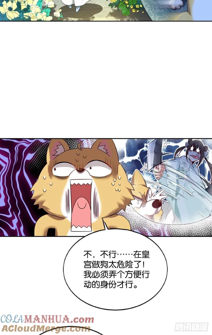《重生异世一条狗》164 梦开始的地方 第43页
