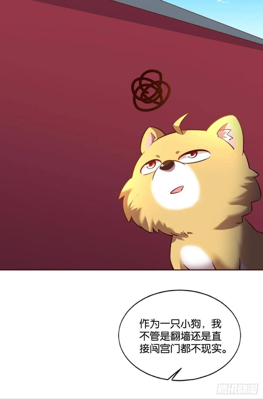 《重生异世一条狗》164 梦开始的地方 第24页