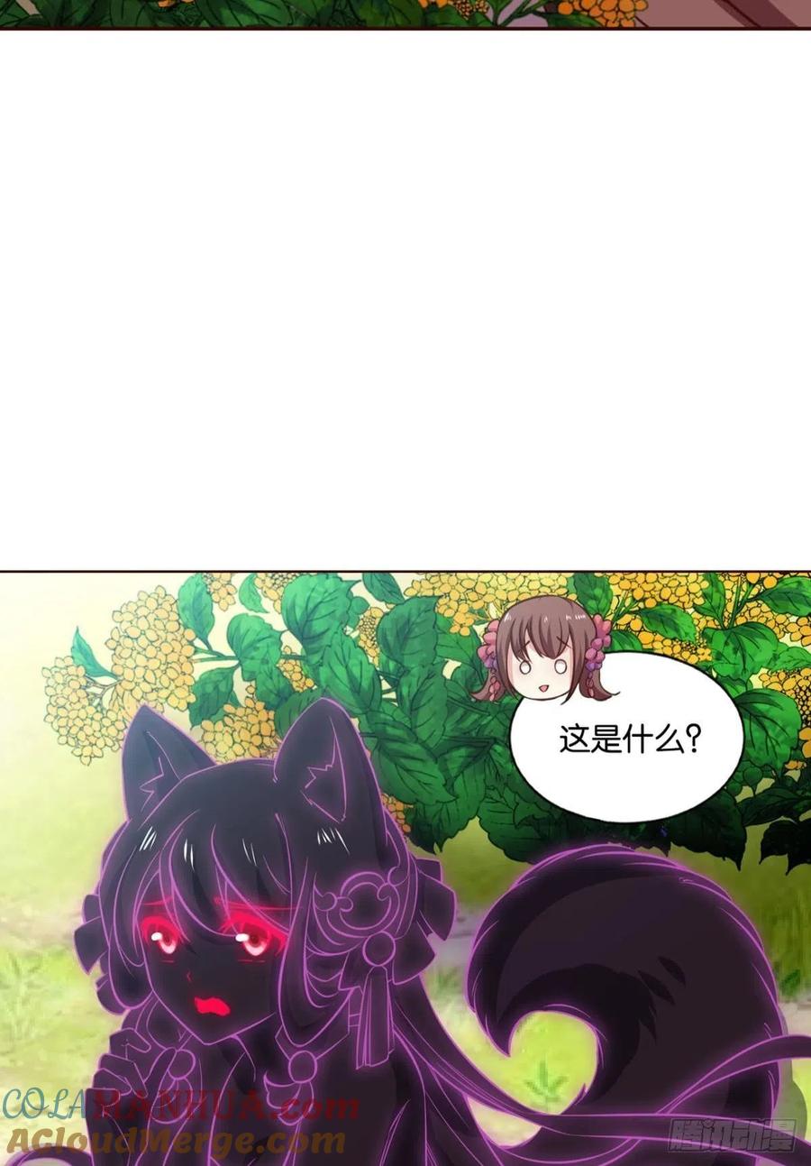 《重生异世一条狗》183 找到那一点可能 第55页