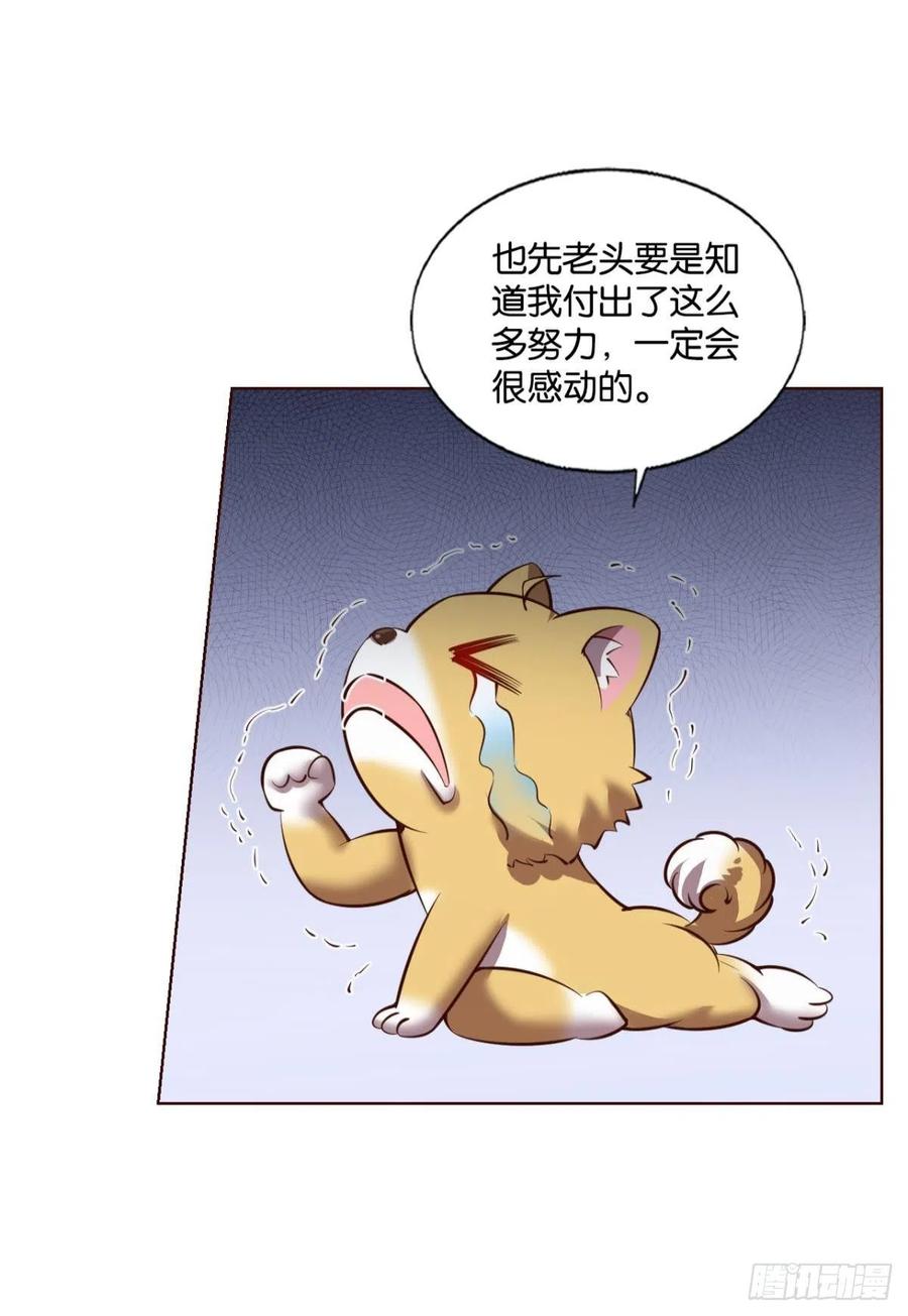 《重生异世一条狗》247 记得绿罗裙，处处怜芳草 第20页