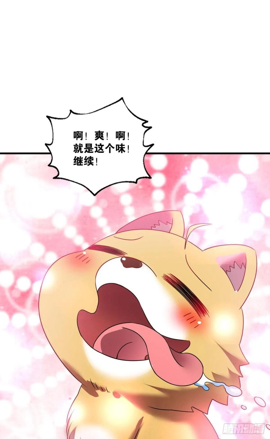 《重生异世一条狗》253 王者之路的开端 第17页
