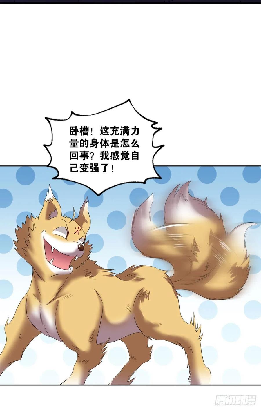 《重生异世一条狗》255 我是土狗又怎样？ 第5页