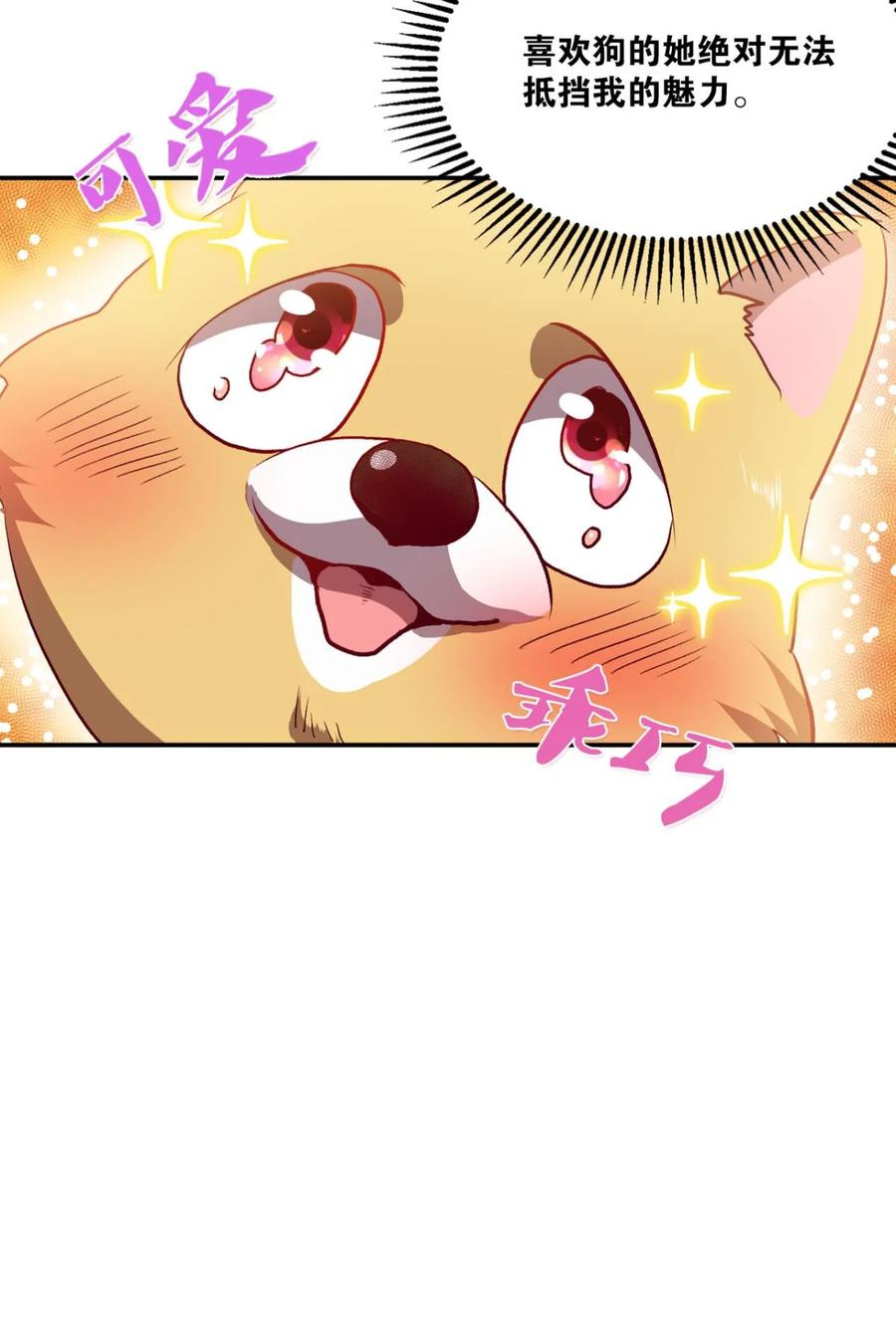 《重生异世一条狗》2 狗日子 第38页