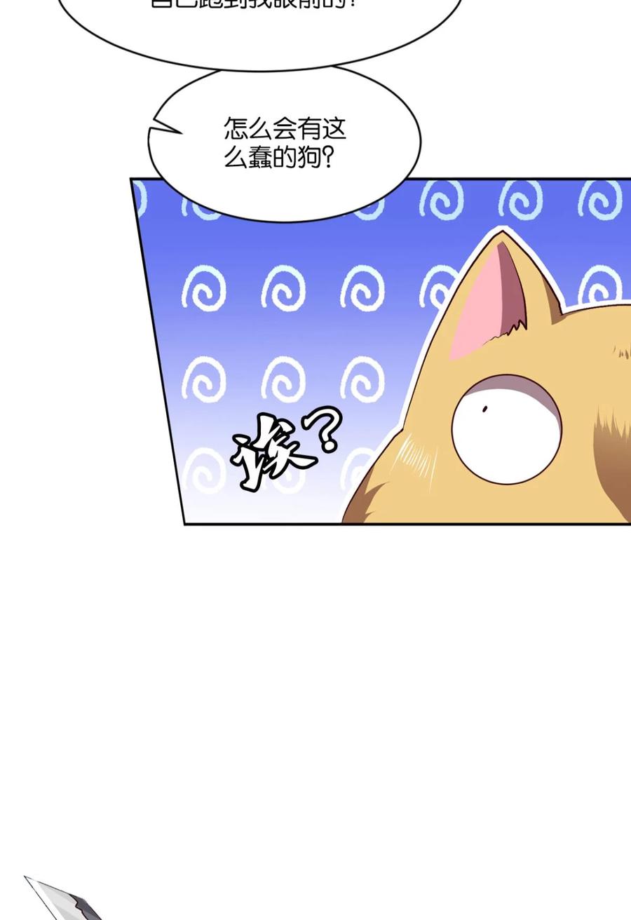 《重生异世一条狗》2 狗日子 第45页