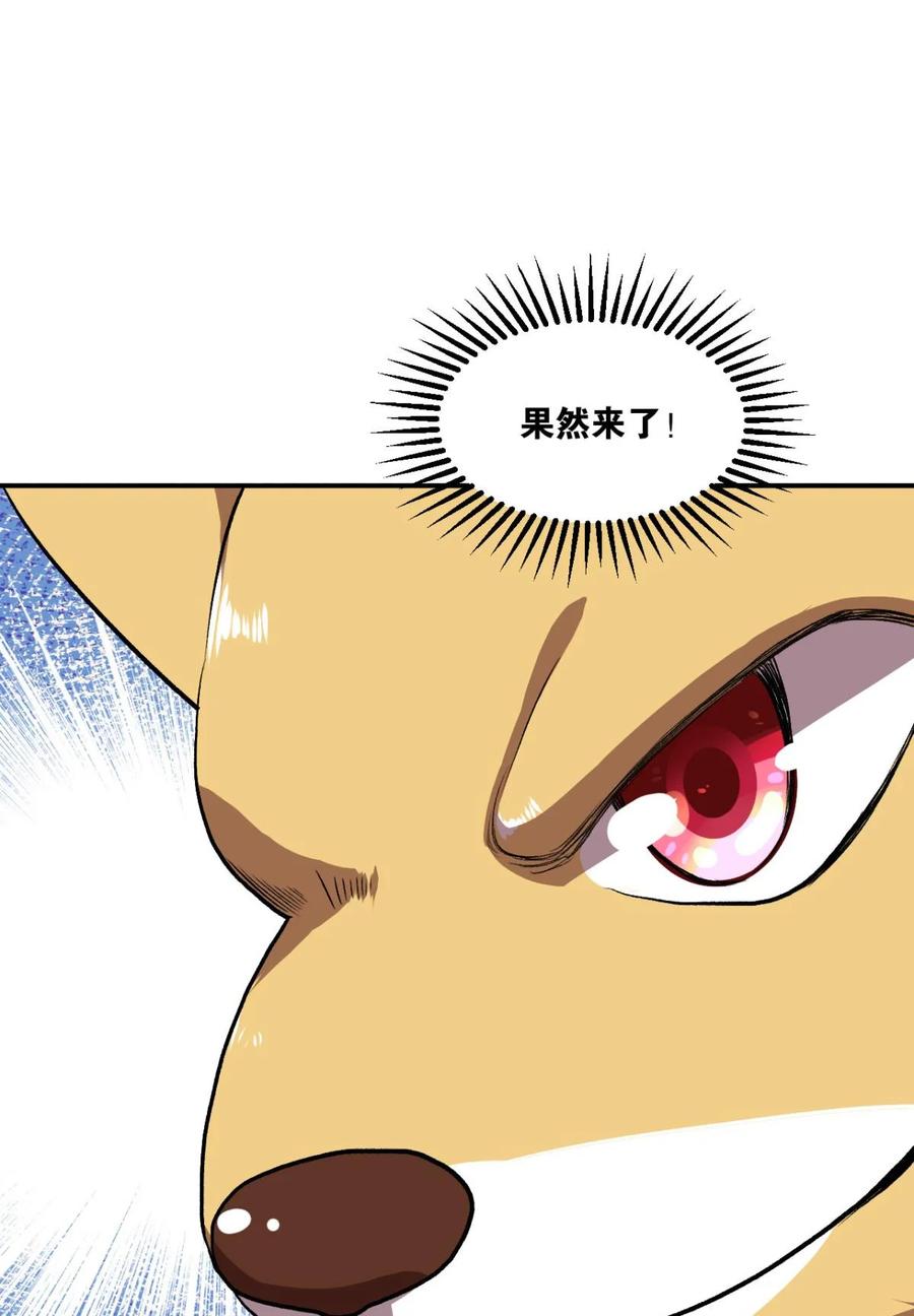 《重生异世一条狗》7 姑苏烽火起 第17页