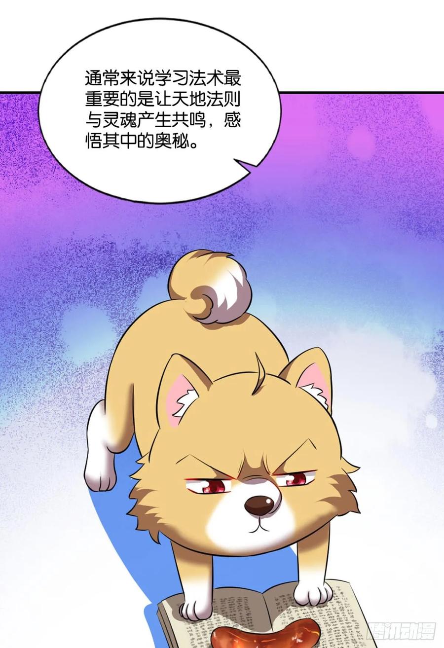 《重生异世一条狗》91 这样修行是没有灵魂的！ 第17页