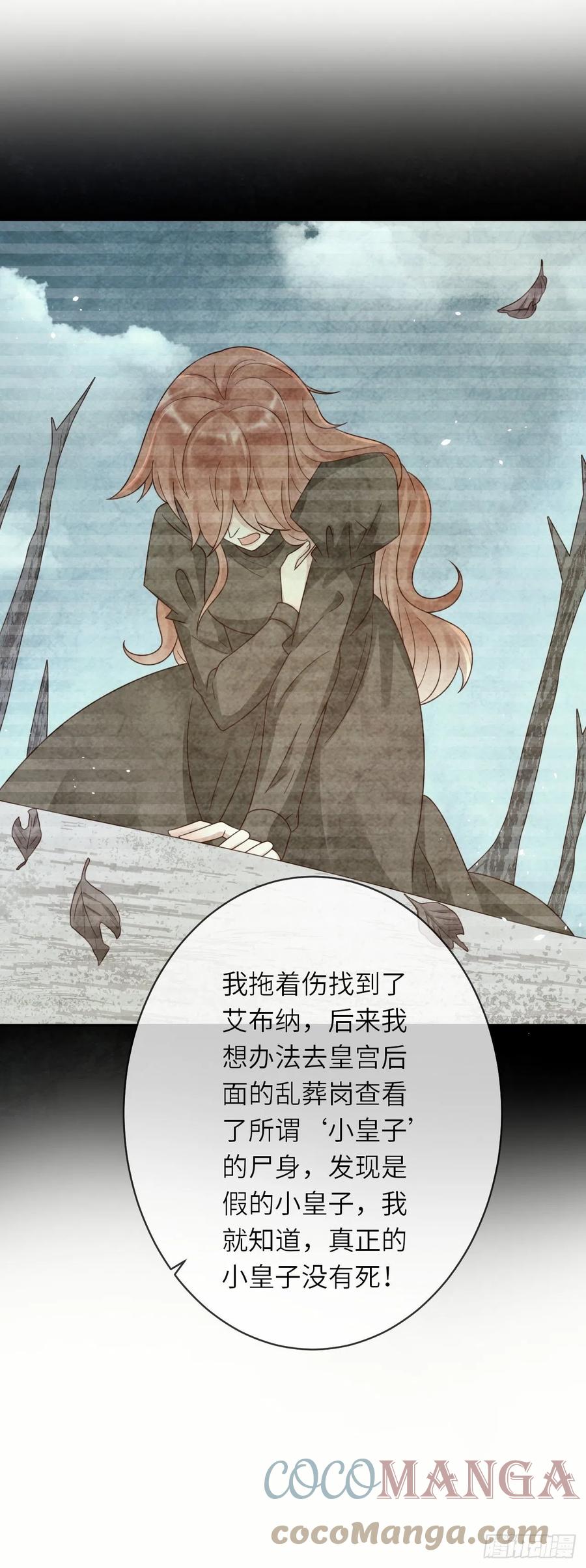 《重生游戏：这个皇子不好养》第47话 修林的真正身世 第19页