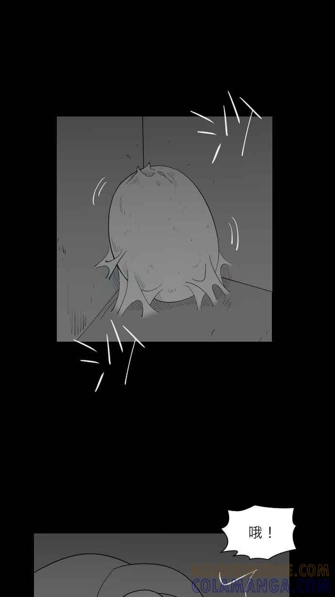 黑盒子 [355话] 奇蹟亭(2) 第37页