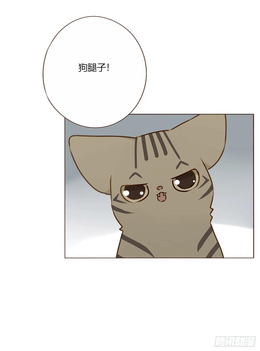 拥然入怀 一六三章 轻松的一天 第24页