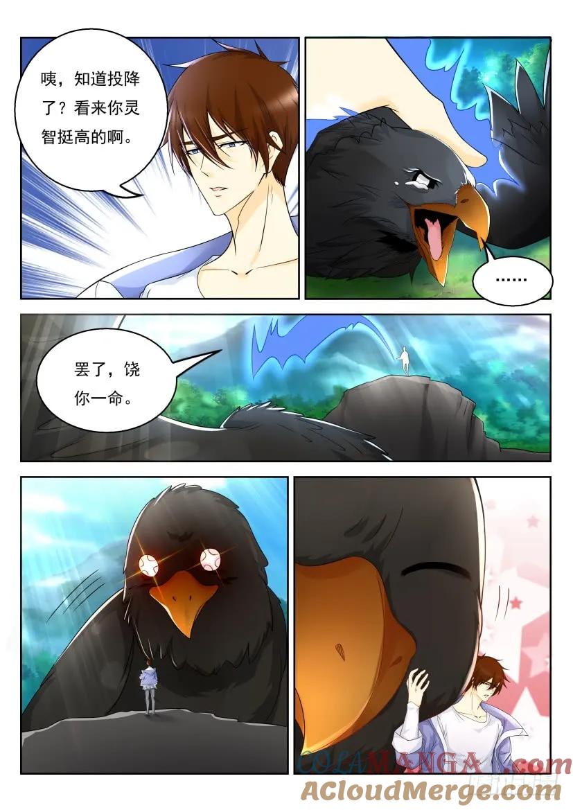 重生之都市修仙 第342话 第330回 第11页