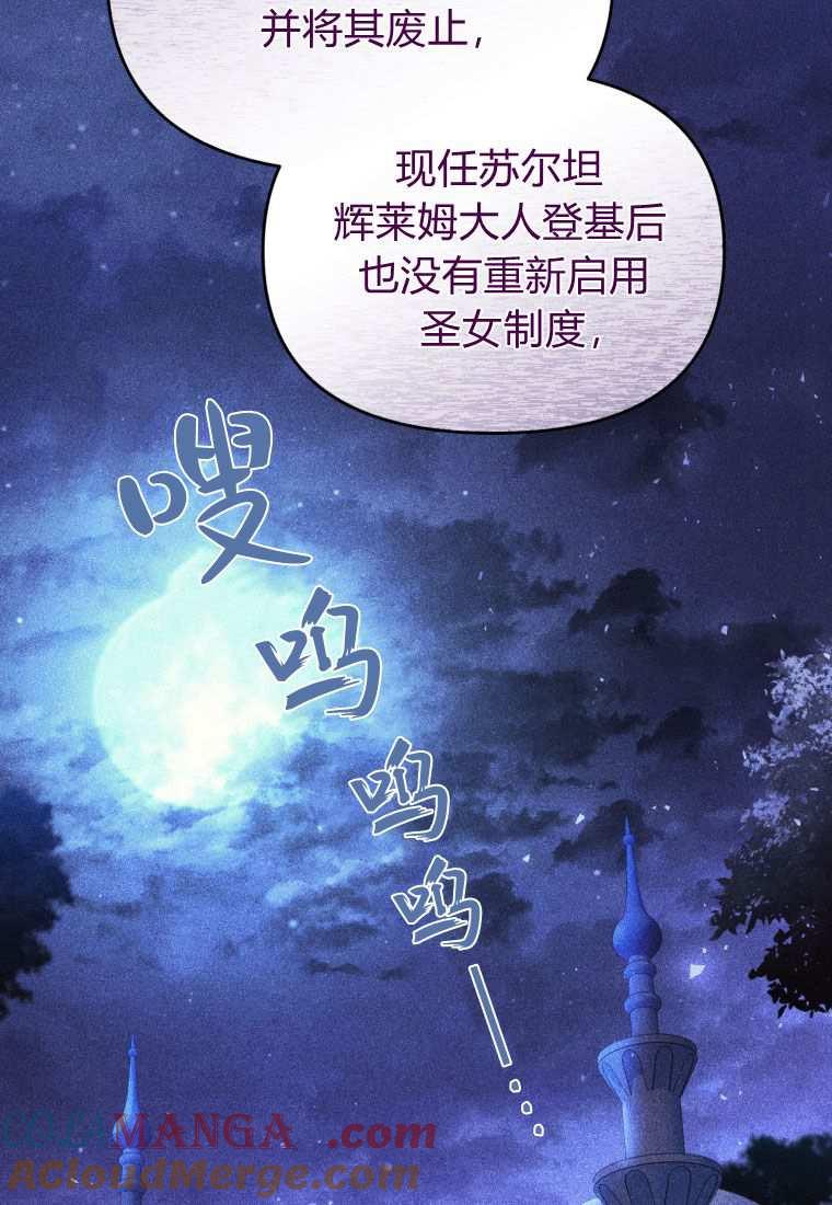 成为苏尔坦珍爱的猫咪 第43话 第41页