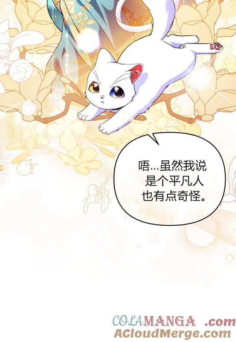 成为苏尔坦珍爱的猫咪 第43话 第25页