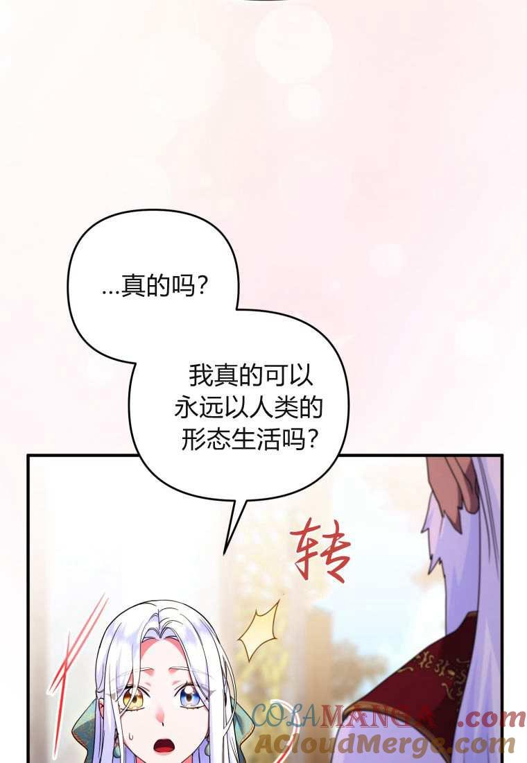 成为苏尔坦珍爱的猫咪 第43话 第29页