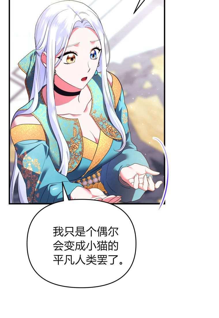 成为苏尔坦珍爱的猫咪 第43话 第23页