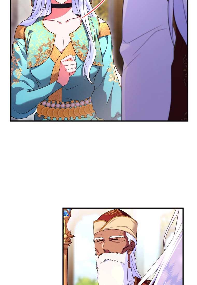 成为苏尔坦珍爱的猫咪 第43话 第30页
