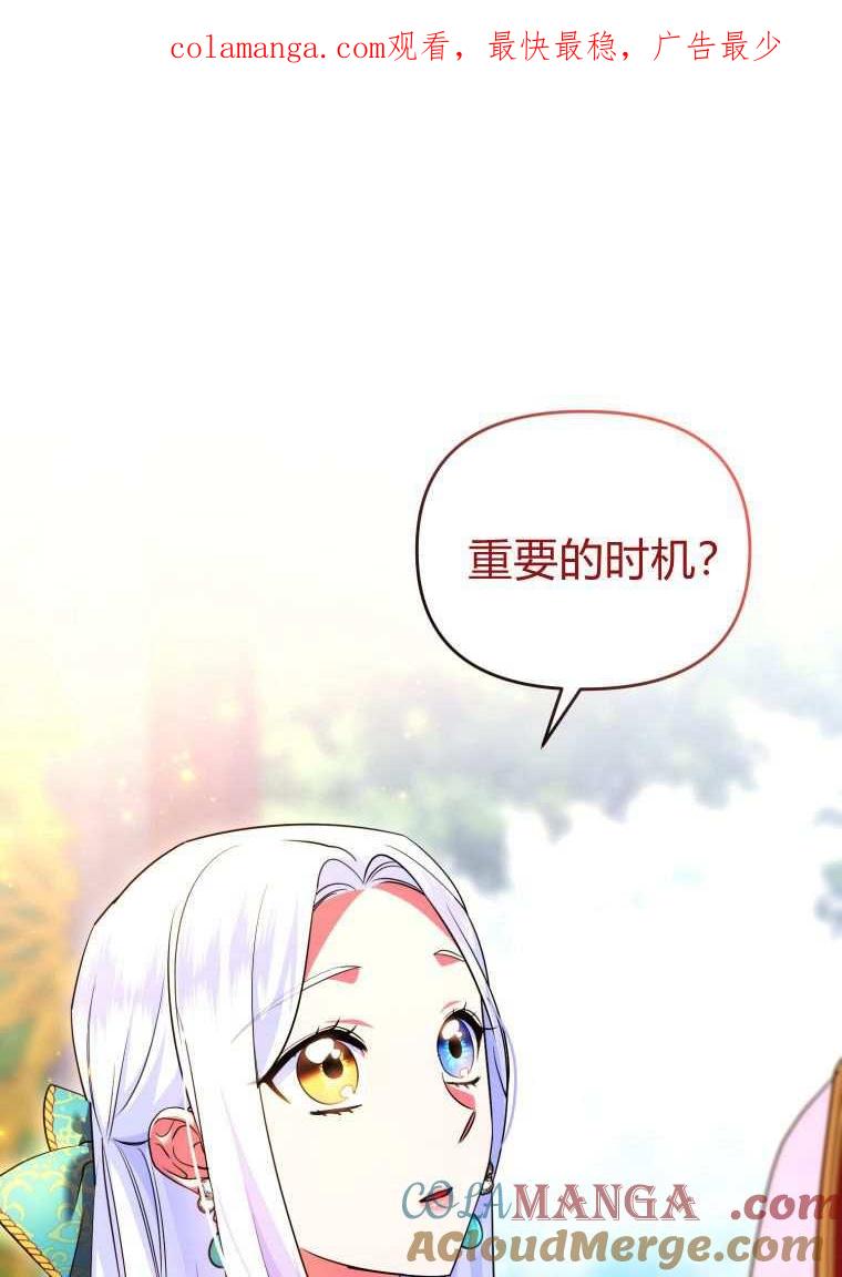 成为苏尔坦珍爱的猫咪 第43话 第1页