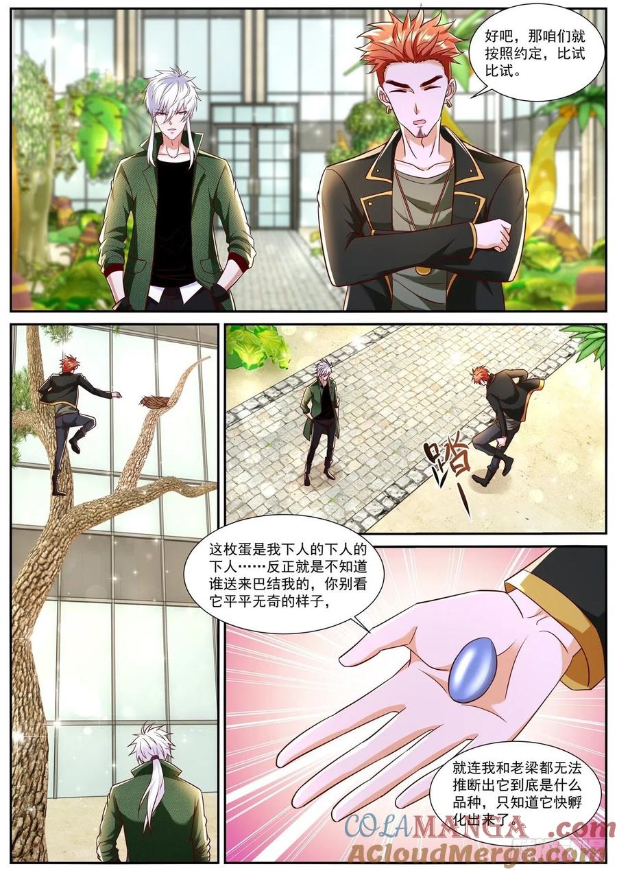 重生之都市修仙 第797话 第782回 第5页