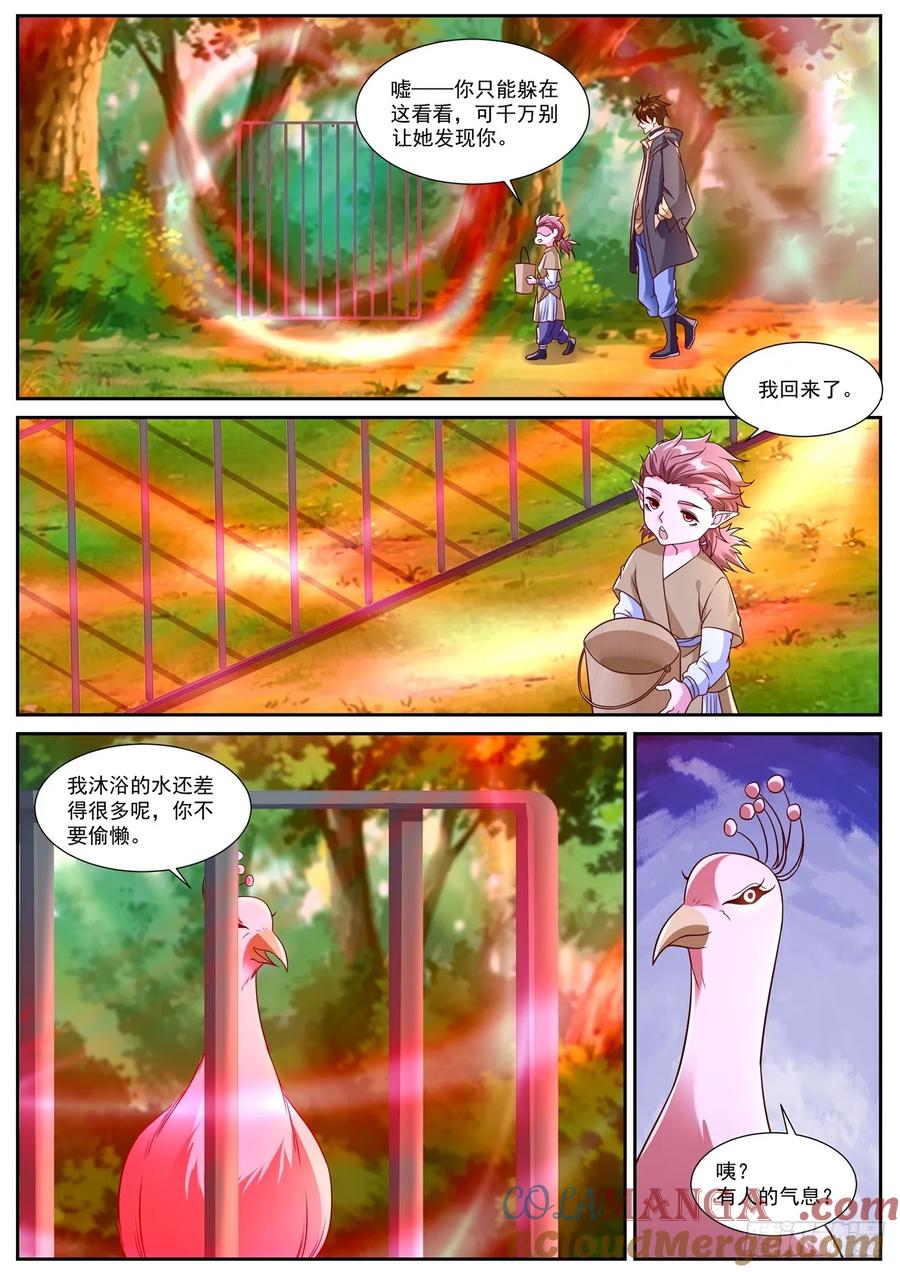 重生之都市修仙 第885话 第870回 第12页