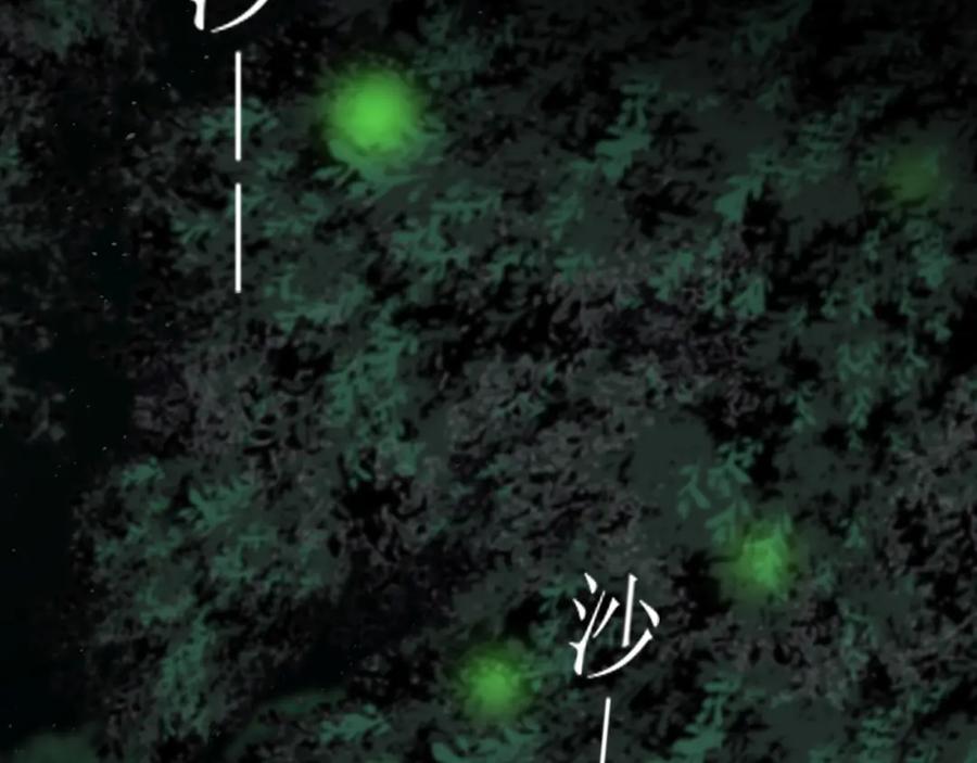 《爱的战利品》前篇（3） 第82页