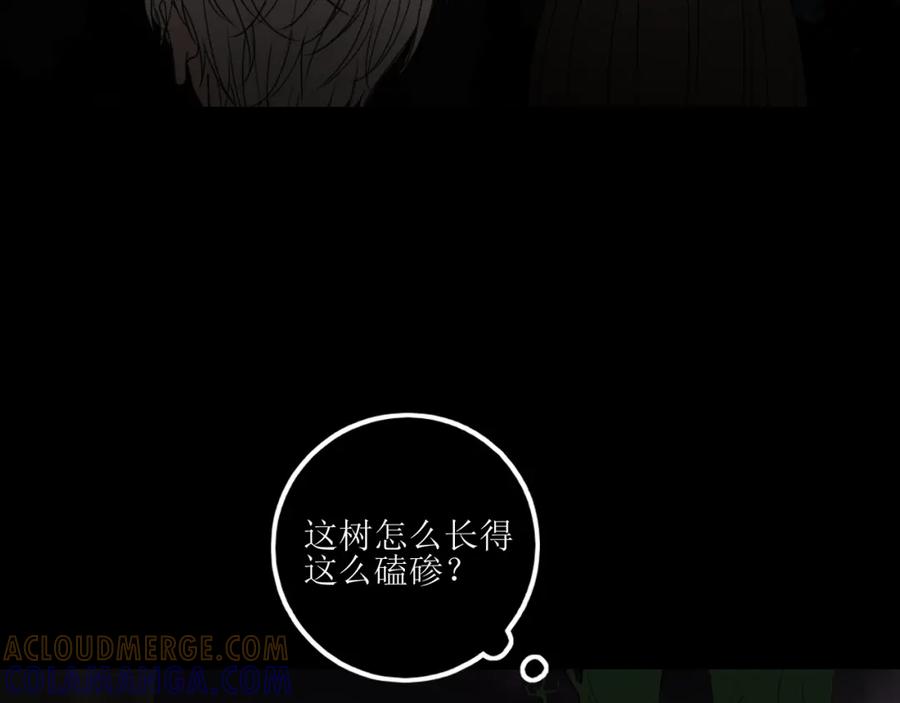 《爱的战利品》前篇（3） 第41页