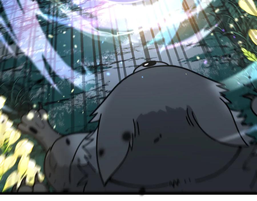 老蛇修仙传（蛇祖） 第29回 测灵根天赋初显 第66页