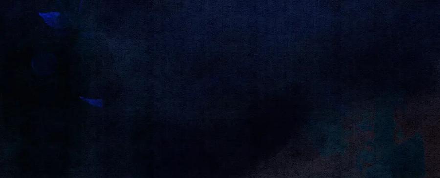 冲喜王妃 - 第45话 密室 - 第14张图