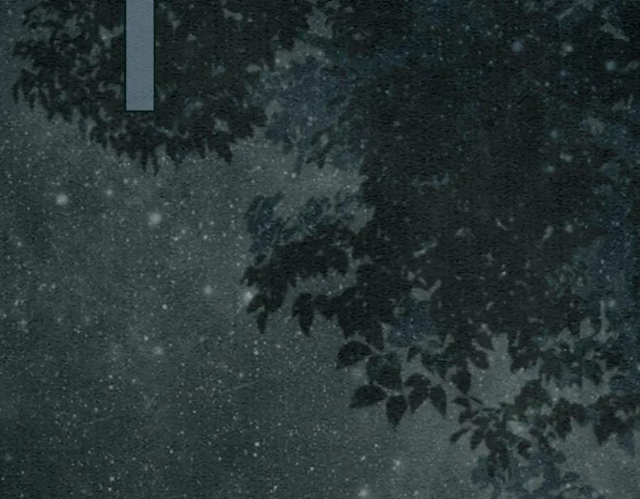 冲喜王妃 - 第54话 星空许愿 - 第40张图