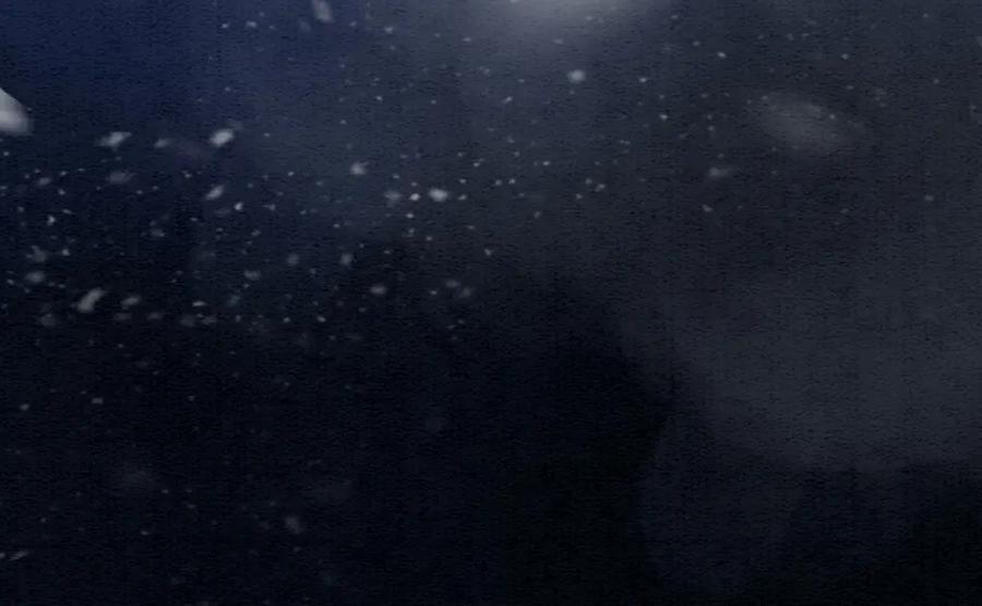 冲喜王妃 - 第80话 雪夜来客 - 第92张图