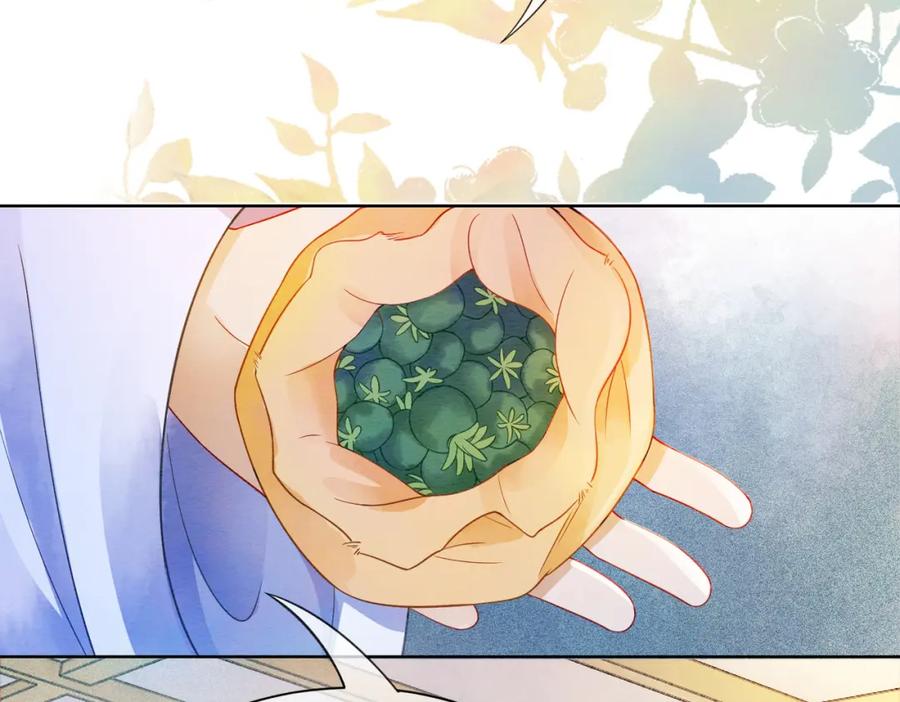 冲喜王妃 - 第85话 身世之谜 - 第96张图