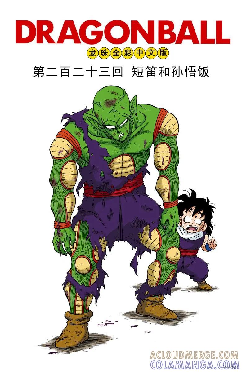 七龙珠 全彩版 19卷 第65页