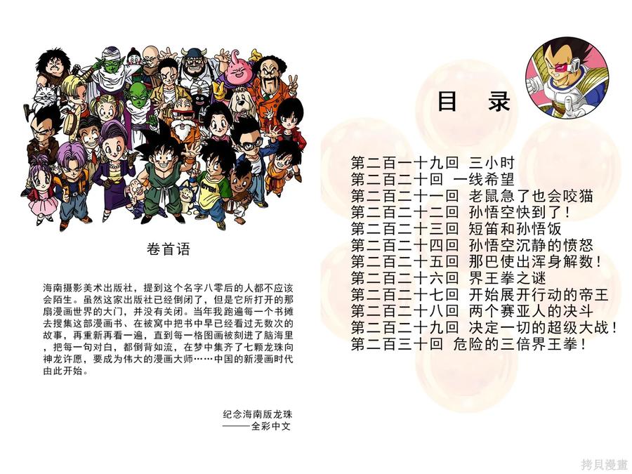 七龙珠 全彩版 19卷 第4页