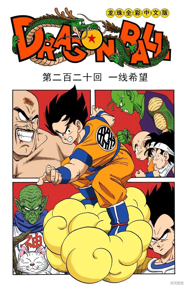 七龙珠 全彩版 19卷 第20页