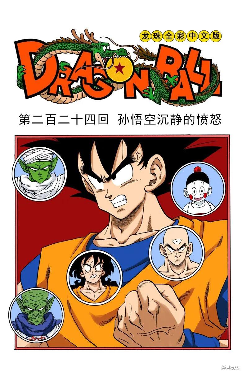 七龙珠 全彩版 19卷 第80页