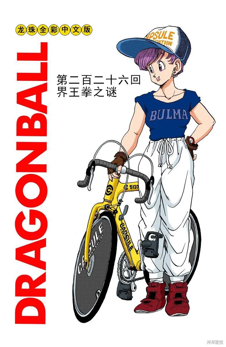 七龙珠 全彩版 19卷 第110页