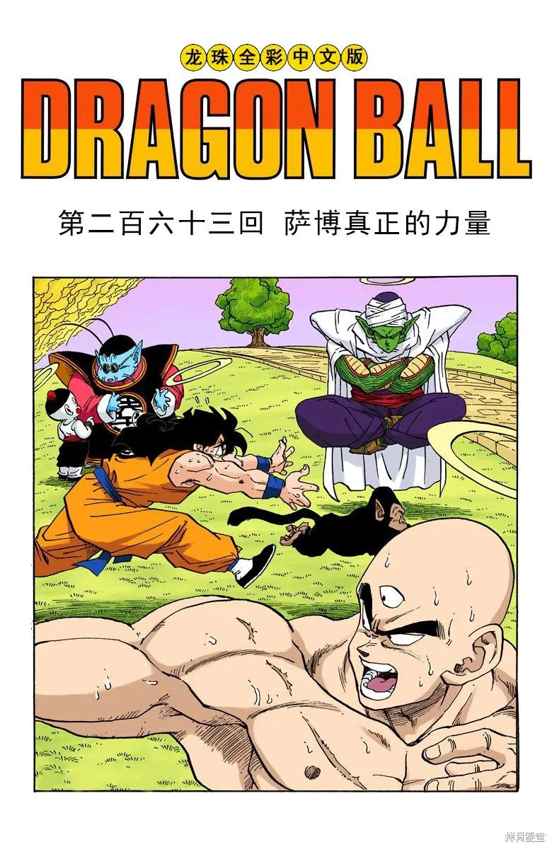 七龙珠 全彩版 22卷 第95页