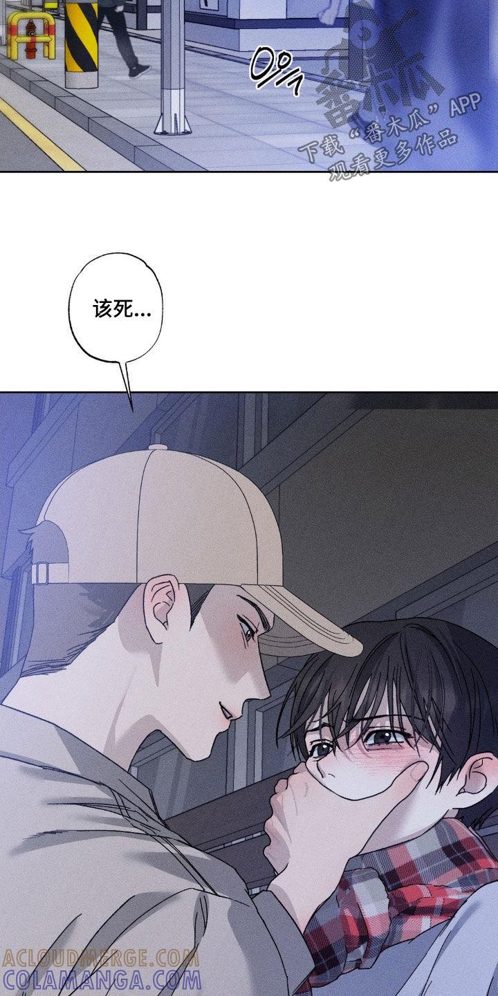 《特写爱意》第52章：是不是疯了 第5页