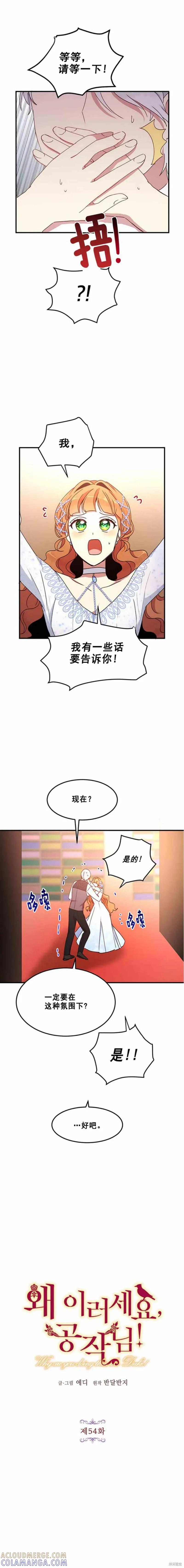 《冷血公爵的变心》第54话 第3页