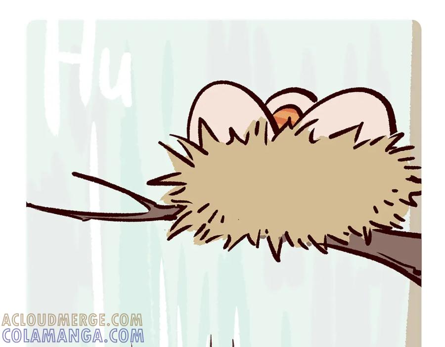 《胖达x胖达》第84话 第11页