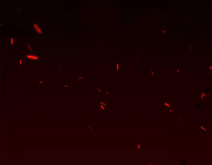 《凡菲尔德的秘密》第20话 暴风雨前夜 第163页