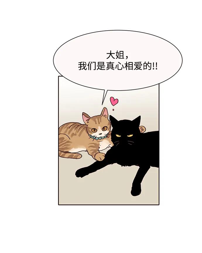 《高风险恋爱》第59话 第6页