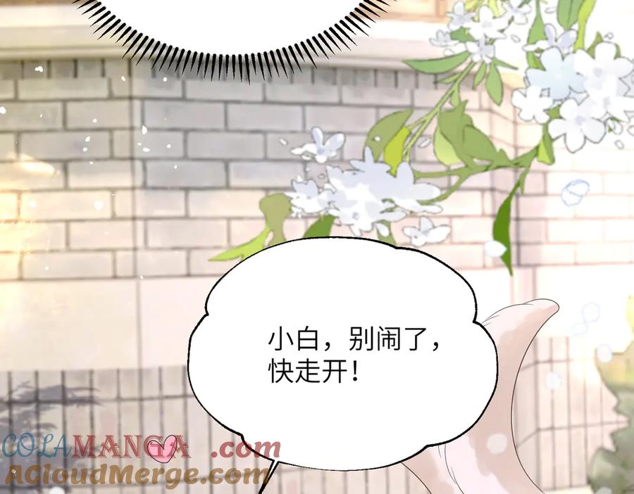 《穿成马甲大佬的妹妹》第17话 杀人诛心！ 第21页
