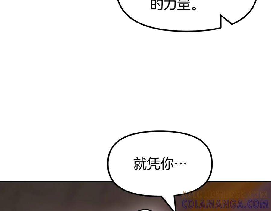 《萨满Shaman》完结篇 圆满完成任务 第229页