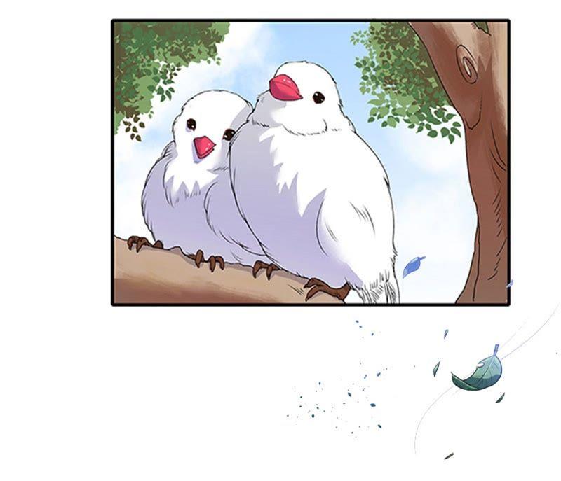 《误入婚途：叛逆娇妻不好惹》安安 第4页