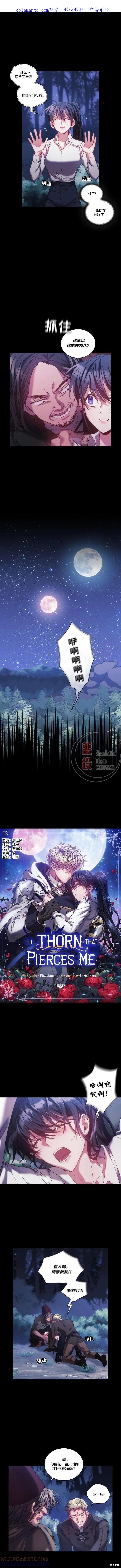 《穿刺我的荆棘》第12话 第1页