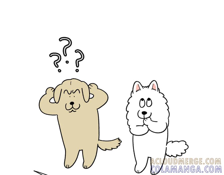 《我的狗子叫棉花》第51话 没有狗狗就互不相识的人们 第49页