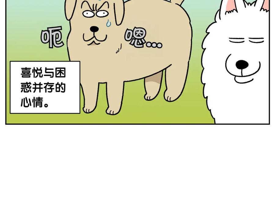 《我的狗子叫棉花》第51话 没有狗狗就互不相识的人们 第47页
