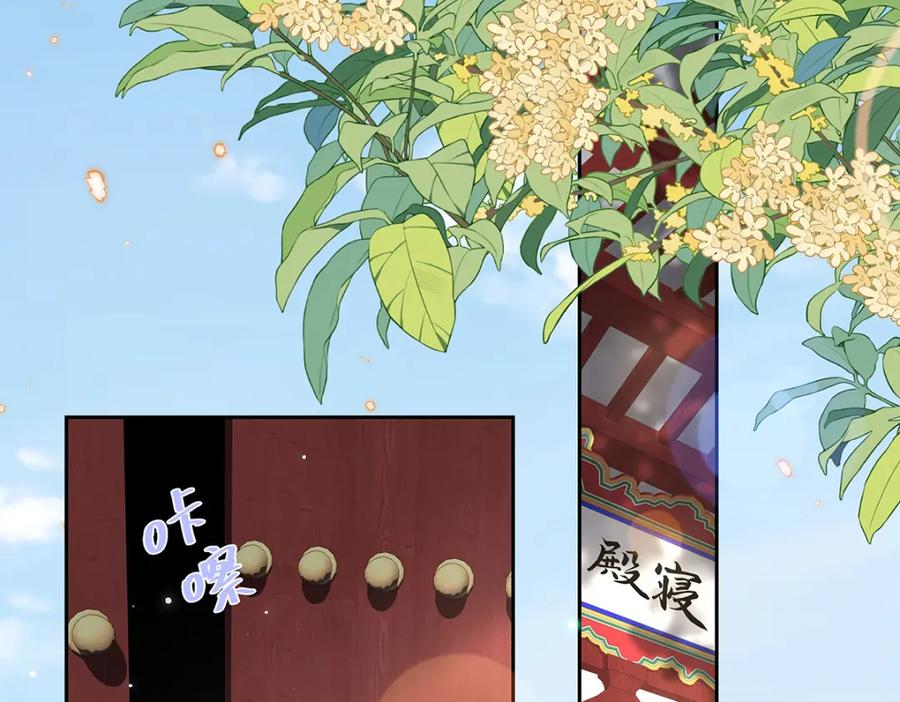 穿到修仙文里组男团儿 008 桓九灯：要被禁啦！ 第5页