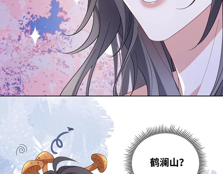 穿到修仙文里组男团儿 010 鹤澜山的真容 第80页