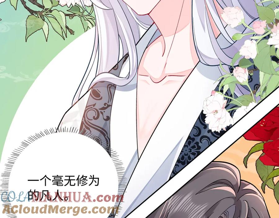 穿到修仙文里组男团儿 012 云临的心思 第25页
