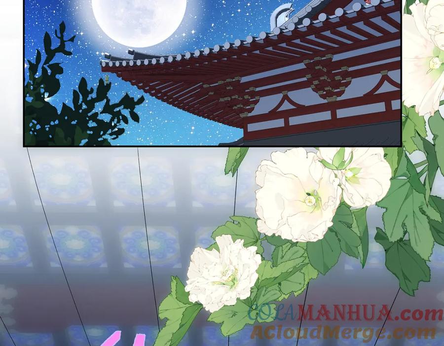 穿到修仙文里组男团儿 012 云临的心思 第5页